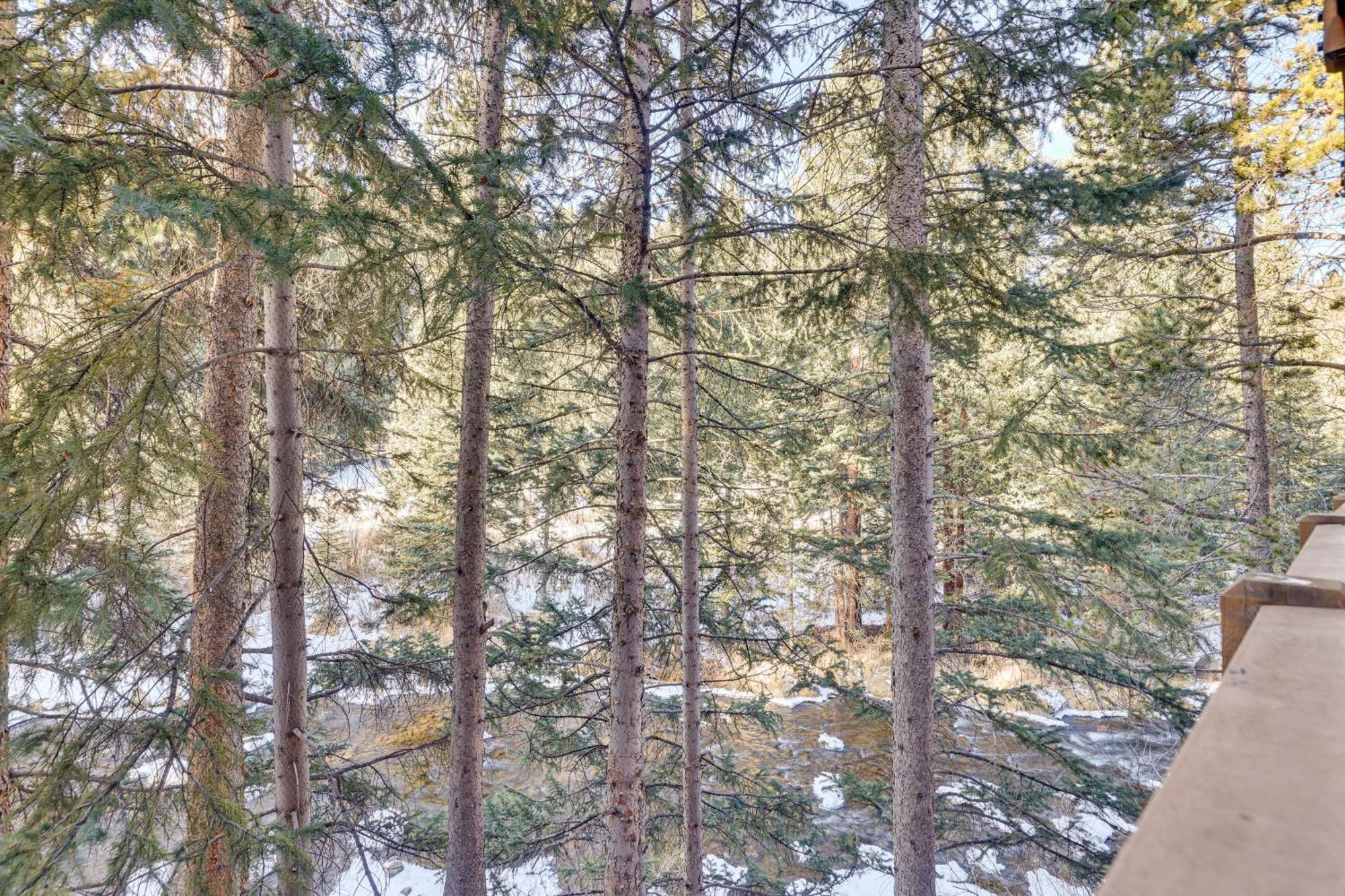 Snowdogs Breck Condo With Fireplace Walk To Lifts ブリッケンリッジ エクステリア 写真